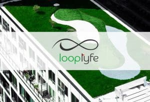 Loop Lyfe Golf Identity Design