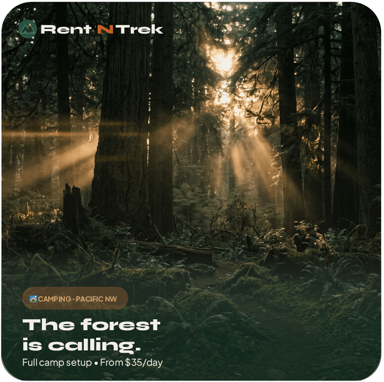 The forest is calling